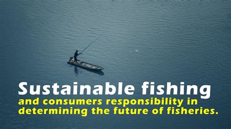 🐬 Sustainable Fishing 🐟 🐠 And Consumers Responsibility In Determining