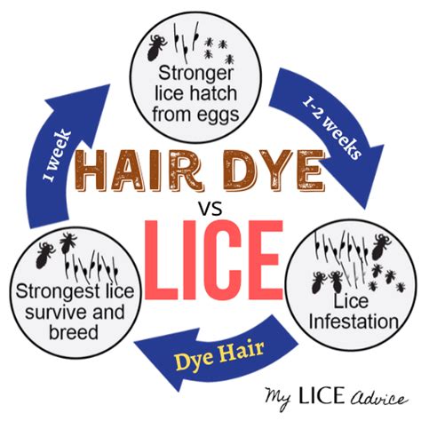 Hair dye may kill some bugs, but it does not affect the nits (eggs). Does Hair Dye Kill Lice or Nits? Will Dyeing Your Hair ...