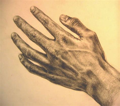 Italian Renaissance Hands Mostly Leonardo Da Vinci Life Drawing