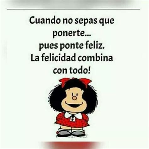 Chato, quadrado, casca grossa, miolo mole e fácil de dobrar. FELIZ, 4 SIMPLES PASOS PARA EXPRESAR | Frases hilarantes ...