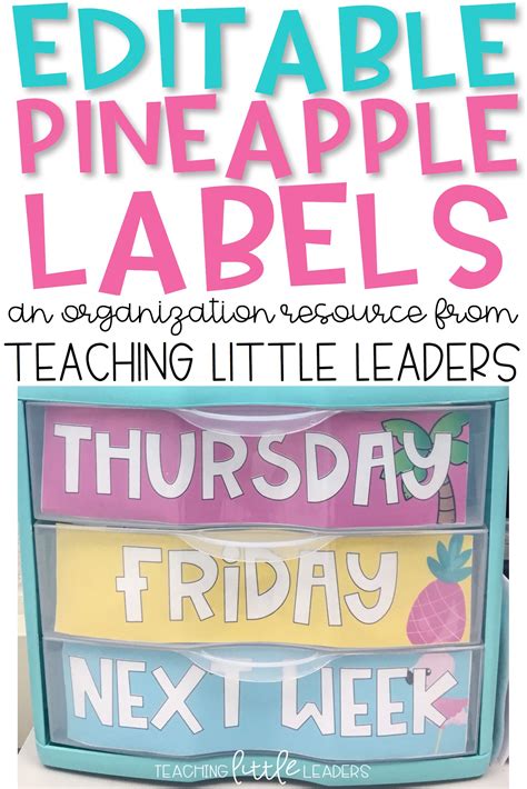 Editable Pineapple Drawer Labels Classroom Calendar Classroom Labels