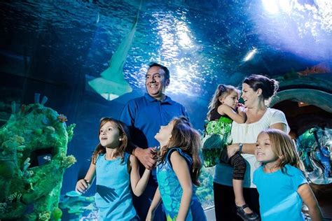 Book Sea Life Minnesota Aquarium Tours And Tickets In Minnesota Today