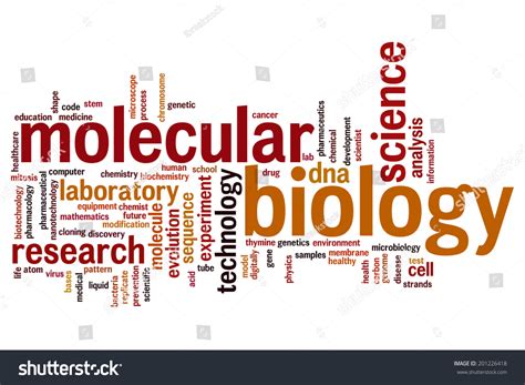 Molecular Biology Concept Word Cloud Background Stock Illustration