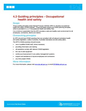 Fillable Online 3 Guiding Principles Occupational Fax Email Print