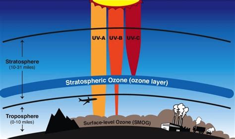 The ozone layer was discovered in 1913 by french physicists charles fabry and henri baisson.the ozone layer is a high up in the earth's atmosphere ozone is a gas in the atmosphere that protect everything living on the earth from harmful ultraviolet (uv) rays from the sun. Climate change could add twice as many smog days in the ...