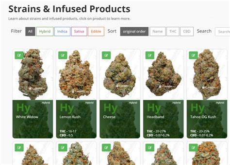 The 7 Strongest Cannabis Strains To Smoke The Strain Directory
