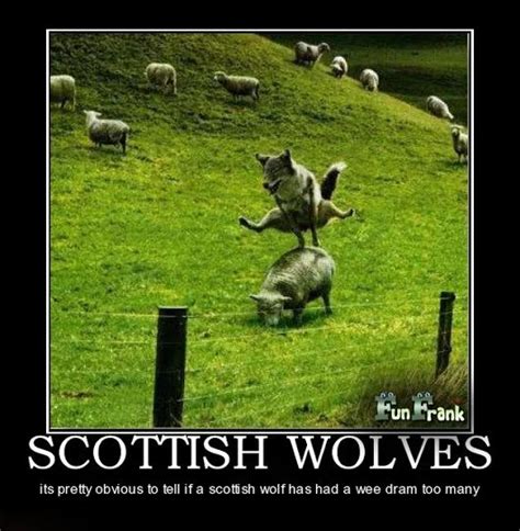 Pin By Barbara Ayers On Silly Stuff Scotland Funny Scotland Forever