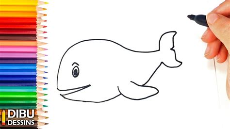 Comment Dessiner Une Baleine Dessin De Baleine Easy Drawings