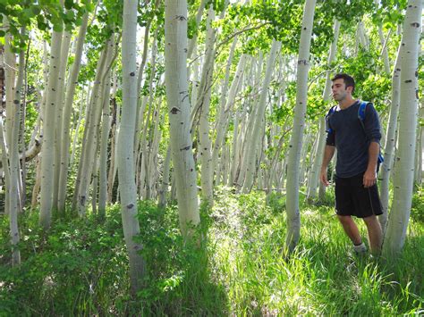 Exploring the Uncharted – on the verge