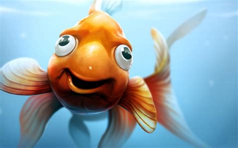 Funny Fish Wallpapers High Quality Download Free