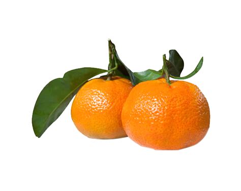 Clementine Leafy 500g - One Organic