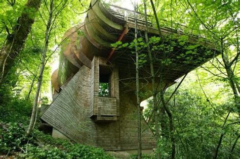 Необычный дом в лесу bigmir net