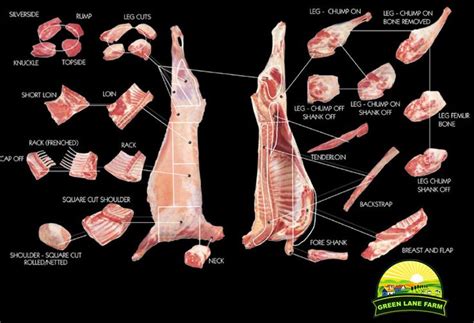 Pin On Cuts Of Meat