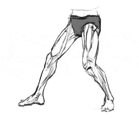 How To Draw Legs The Easy Step By Step Guide With Simplified Anatomy