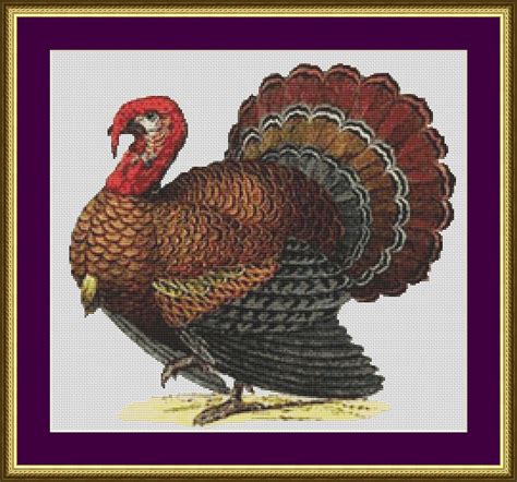 In order to open these files you will need adobe reader, which can be downloaded here for free. Turkey Counted Cross Stitch Pattern