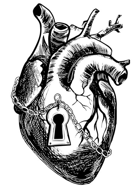 Anatomical Heart Drawing Heart Anatomy Coloring Worksheet Inspirational Heart Anatomical