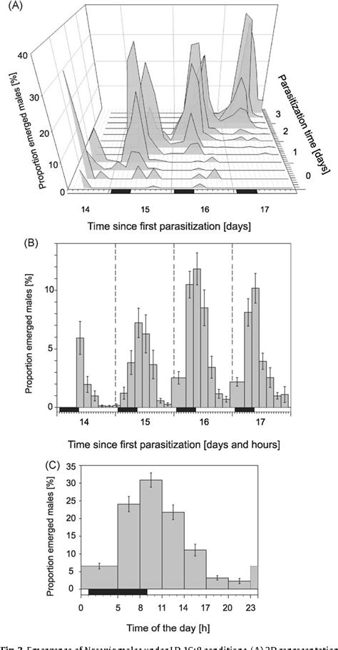 Figure From University Of Groningen Circadian Rhythms Of Adult