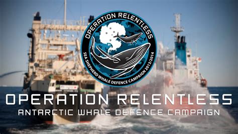 Operation Relentless Sea Shepherds 10th Antarctic Whale Defence