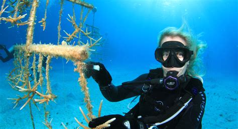 The Reef Rescue Network Scuba Diver Life