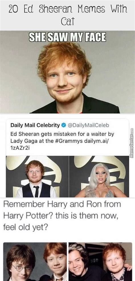See more ideas about ed sheeran, ed sheeran memes, memes. 20 Ed Sheeran Memes With Cat | Ed sheeran memes, Snapchat funny, Memes