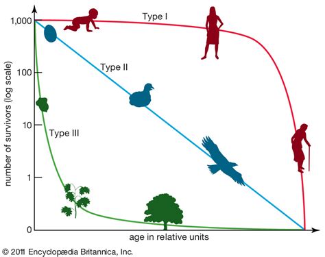 Ap Biology Population Ecology Ch 44 Diagram Quizlet