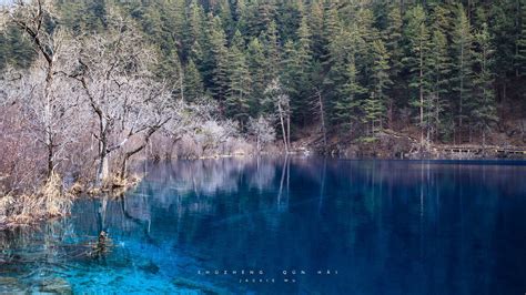 Download Wallpaper 1920x1080 Lake Blue Water Transparent Wood Coast