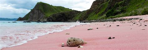 Pink Sand Beaches In The World My XXX Hot Girl