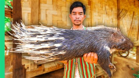 Roasted Porcupine Asias Extreme Village Food Surviving Vietnam