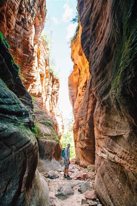 4 Hikes To Beat The Crowds In Zion National Park Fresh Off The Grid