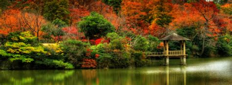 Mii de imagini noi la calitate înaltă sunt adăugate în fiecare zi. Autumn Nature Facebook Covers | Free Desktop Wallpapers ...