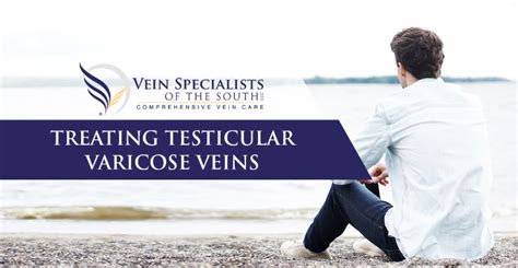 Testicular Varicose Veins Vein Specialists Of The South Vein