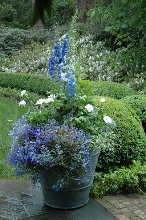 Plant Combinations For Containers Hgtv