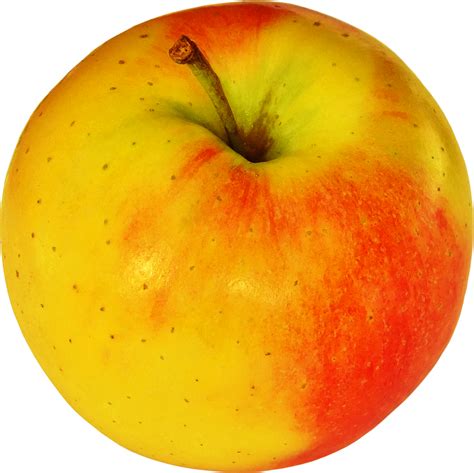 Free stock photo of apple, apples, fruit