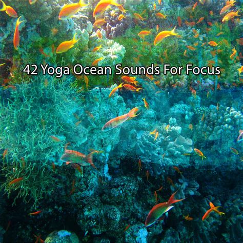 42 Yoga Ocean Sounds For Focus Album By Tailormade Ocean Waves Spotify