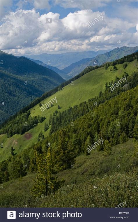 Valley Of Kucherla River In Altai Russia Stock Photo Alamy