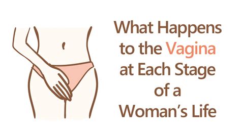 What Happens To The Vagina At Each Stage Of A Womans Life Womenworking