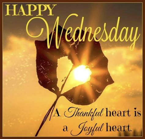 Wednesday | Good morning wednesday, Happy wednesday, Wednesday morning greetings