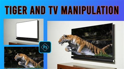 Out Of Bounds Photoshop Effect Tiger And Tv Photo Manipulation