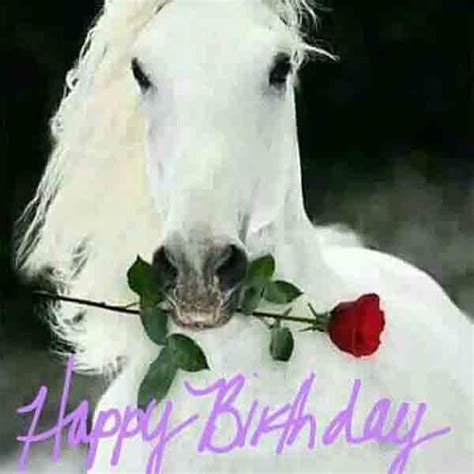 17 Best Happy Birthday Horse Meme Happy Birthday Horse Happy Birthday