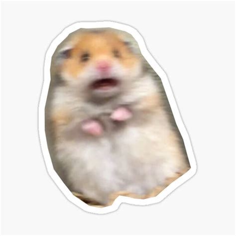 Scared Hamster Meme Stickers Redbubble