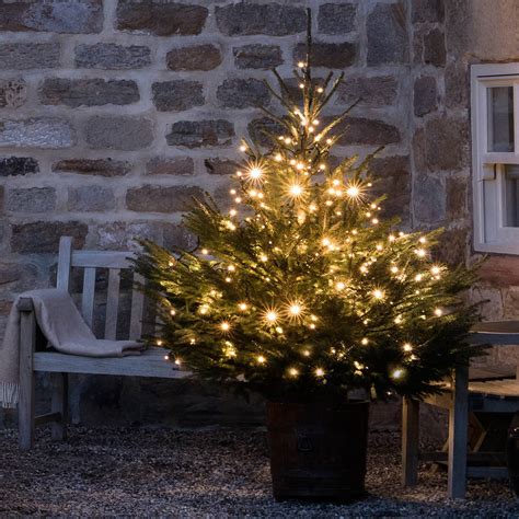 240 Christmas Tree Lights By Lights4fun