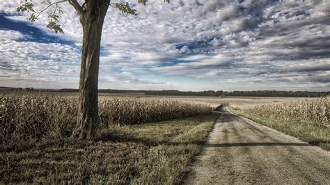 Road Between Field Horizon Illinois Under Cloudy Sky 4k Hd Nature
