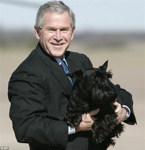 George W Bush Pays Tribute To His Dead Dog On Its 13th Birthday Daily