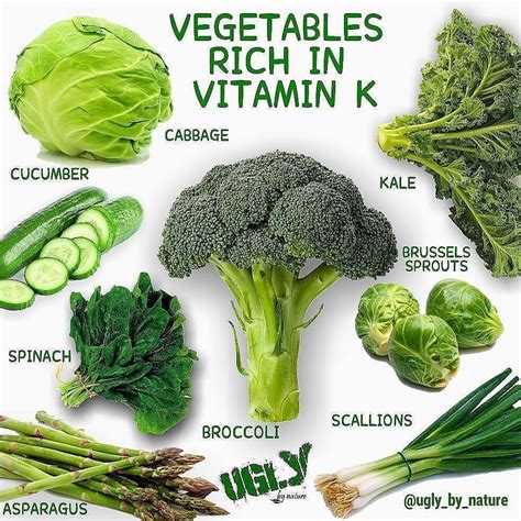 Useful What Foods Have Vitamin D And K Images Food In The World Favorite