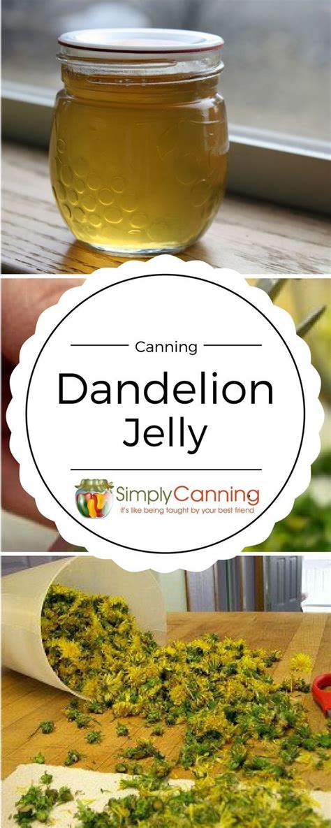 We did not find results for: Dandelion jelly, a taste of spring, all year round! Learn ...