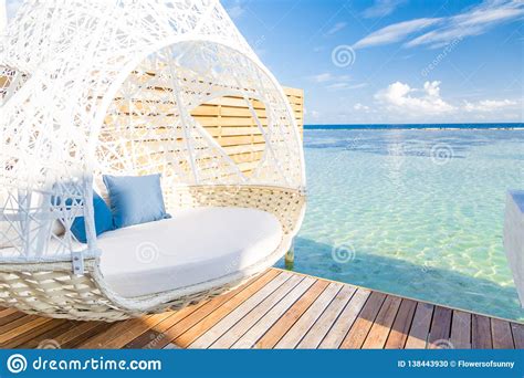 Luxury Beach Resort Beautiful Cozy White Lounger Near Pool Perfect
