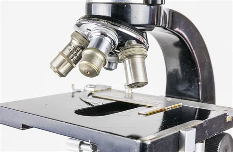 The Basic Types Of Microscopes Microscopestop Com