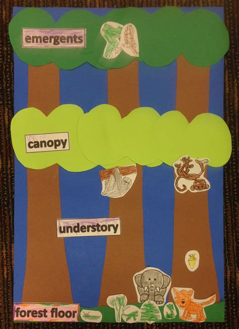 Pin By A Goss On Lets Get Ready For Kindergarten Rainforest