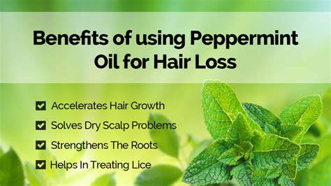 Benefits Of Peppermint Oil Virtvia