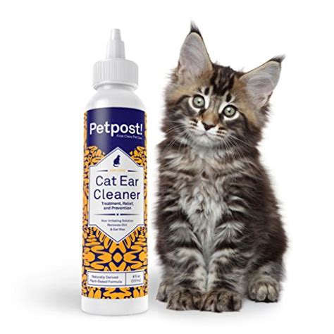 Best Ear Mite Treatment For Cats Uk Cat Meme Stock Pictures And Photos